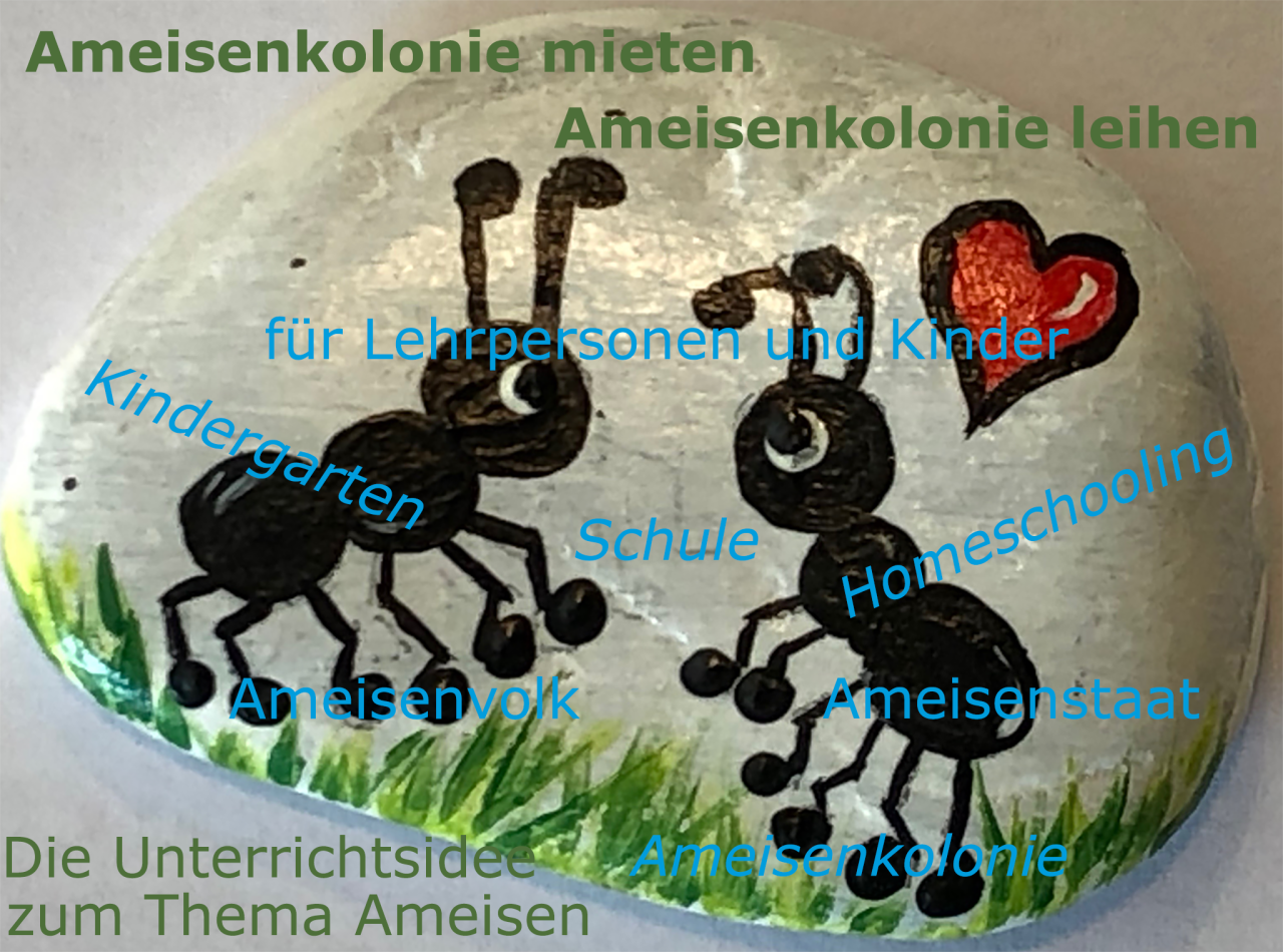 Komplett Ameisenset - Ameisenkolonie -  Ameisenvolk
